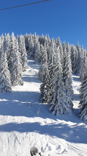 Magic View Dvori E16-Kopaonik - image 6