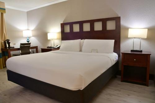 1 king bed