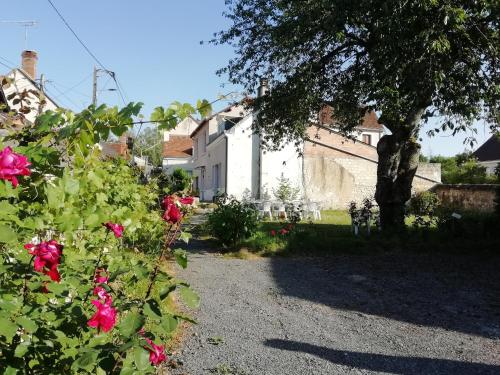 Tribu du ZOO Saint Aignan centre 3ch Jardin et Parking privé clos de murs