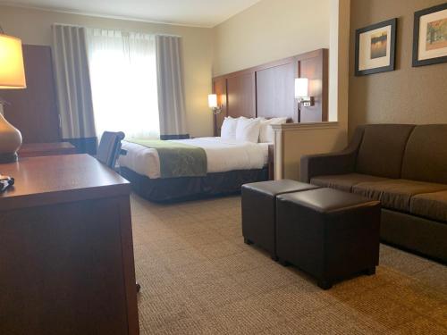Comfort Suites Peoria I-74 near General Wayne A. Downing–Peoria internasjonale lufthavn