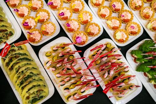 Hotel Festival - image 8