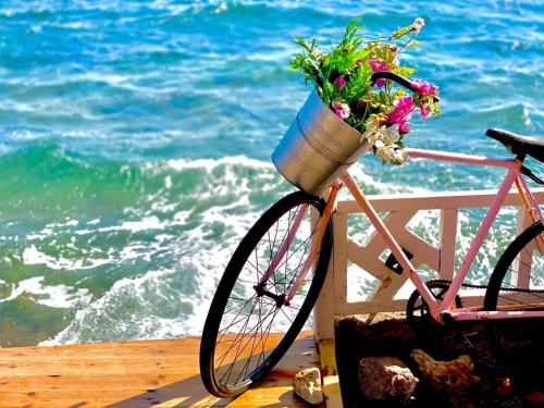 Happy Land Hotel Dahab - Dahab