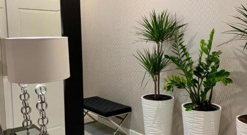 King and Queen Apartment