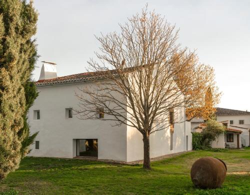Finca El Azahar - main image