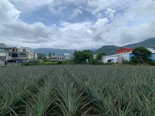 附近景點
