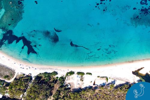 Villa Giorgio - Few steps from the beach
