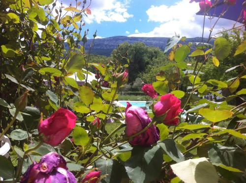 La Grande Maison De Nans