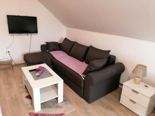 Studio apartman Vasić