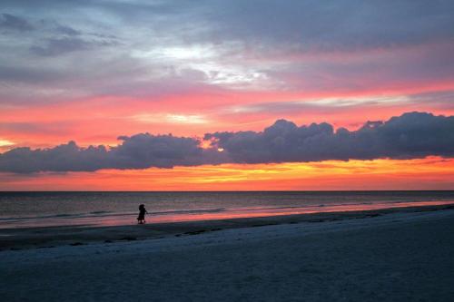 Beach Club at Siesta Key Poolside D - image 26
