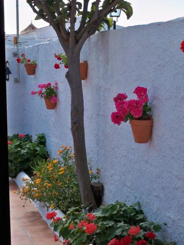El Capistrano Sur - main image