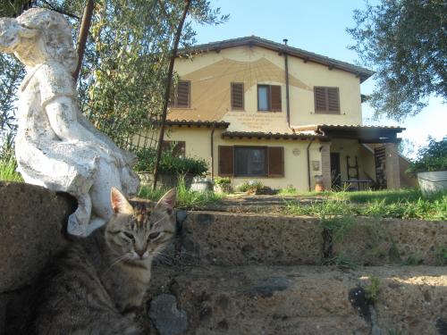 Agriturismo La Svolta 4