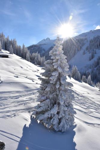 Chalet RelaxAlp Garfrescha Chalet RelaxAlp Garfrescha