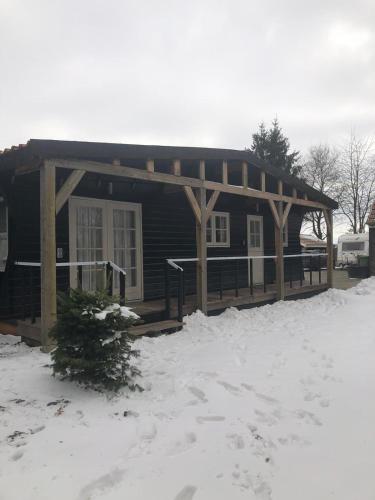 Chalet Het Wollinghuisje in Sellingen