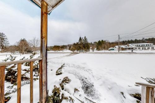 Pineapple Paradise