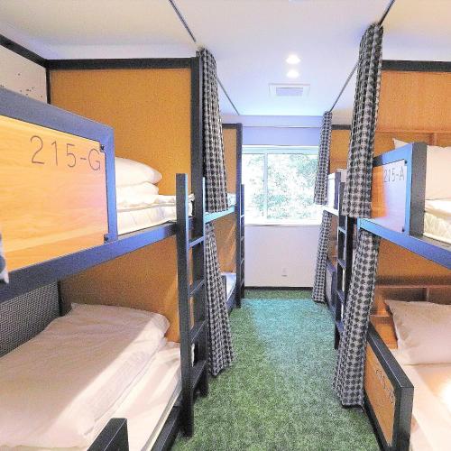 8-Bed Mixed Dormitory Room