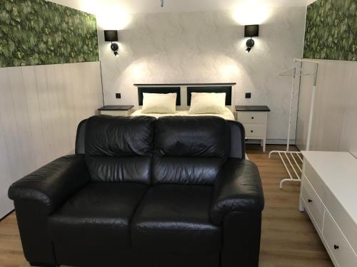 Płock by night - image 3