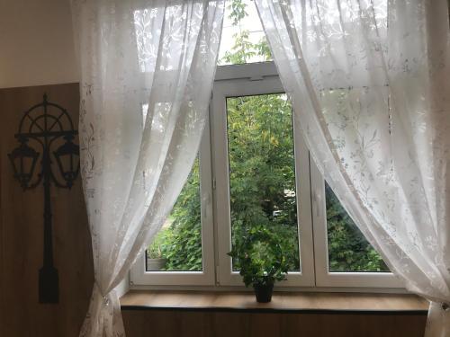 Płock by night - image 5