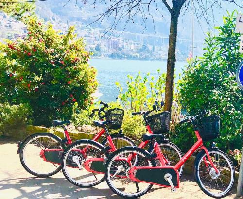 Fabulous Lakeside Family Apartment | 4 Rooms - image 8