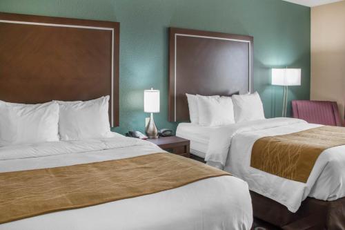 Comfort Inn & Suites San Marcos in San Marcos, USA