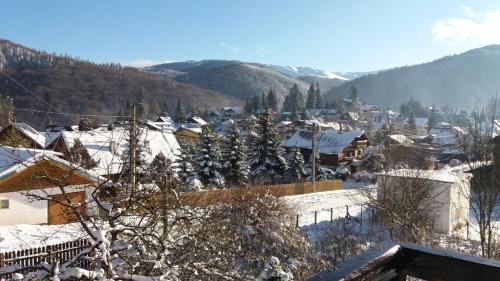 Apartament La poteca ursului