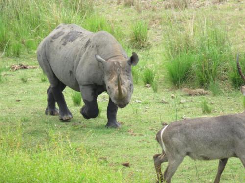Riverview Inn, Malelane (foto 6)