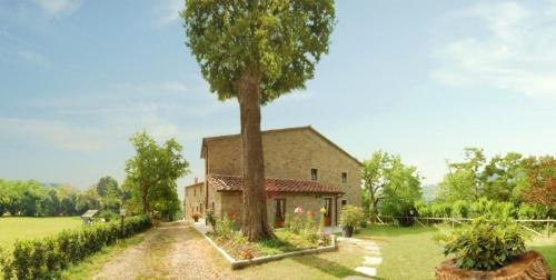 Accommodation in Pratovecchio