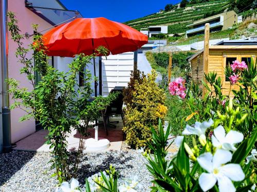 Guesthouse Petit Pré in Saint-Léonard, Schweiz