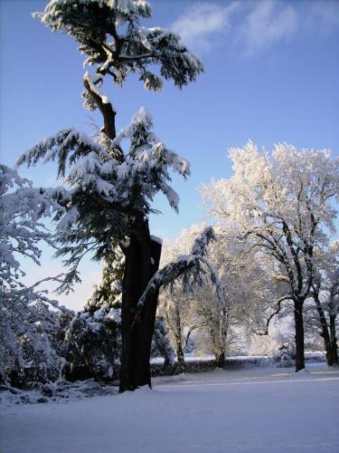 Chateau de la Garenne photo 19