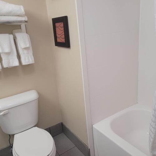 Comfort Inn Altoona-Des Moines