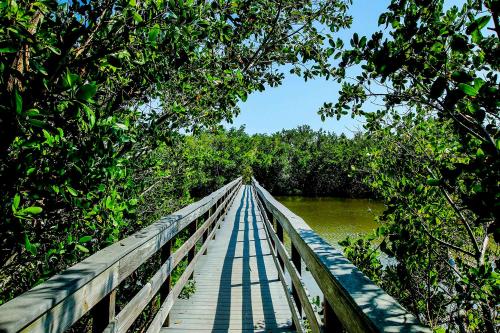 Enjoy sunsets at spacious condo by Bowman's Beach - Blind Pass B105 - image 6