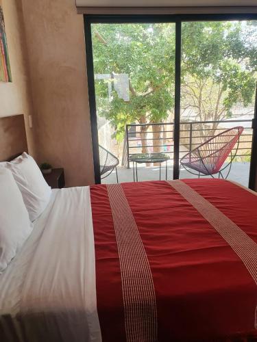 Hotelito YUM KAAX in Mérida, Mexico