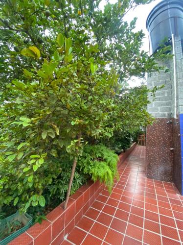 Cabana Santa Fe De Antioquia