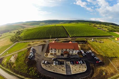 Pensiunea Kemsilvanum Fort Silvan - Camăr