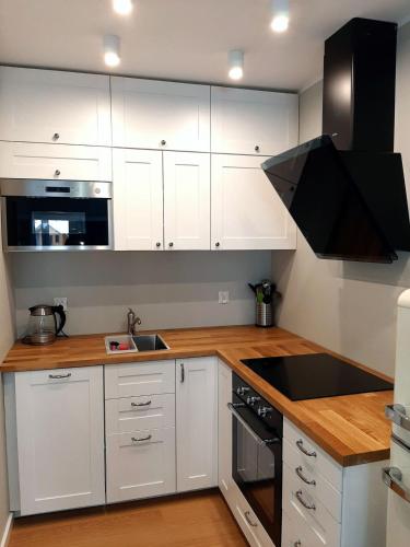 Cozinha, Apartament Rodzinny in Szklarska Poreba