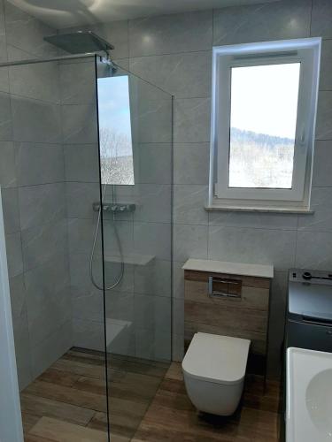 Banheiro, Apartament Rodzinny in Szklarska Poreba