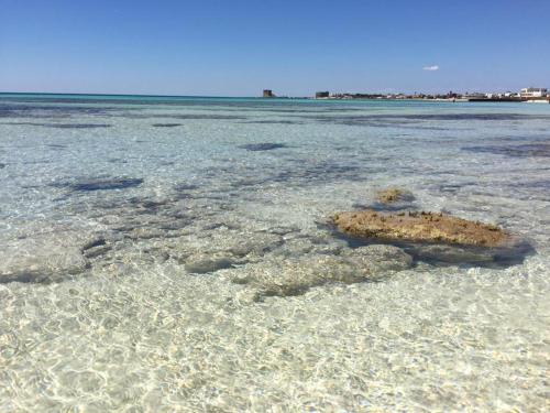 Acqua Marina Casa Vacanza