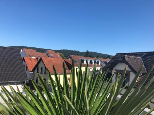View, Wohnen beim Brotsommelier - Alpenkruste in Darmstadt-Eberstadt