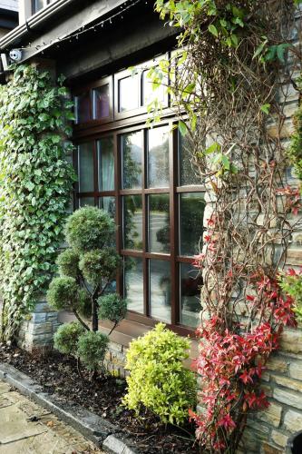 Mulroy Woods Hotel - image 13