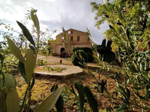 Masseria Sant'Agapito - image 4