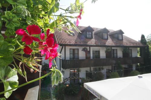 Hotel Neumayr - image 14