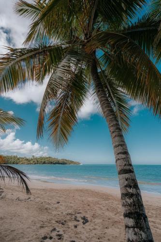 Strand, Condo Hotel Playa Las Ballenas in Pueblo de los Pescadores