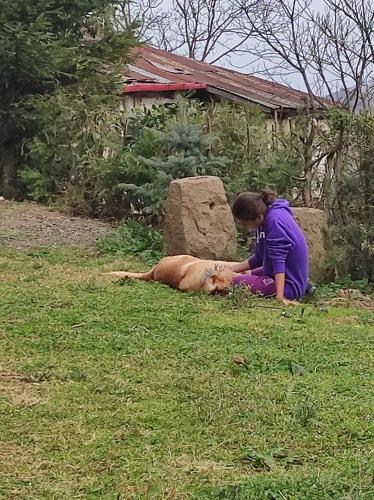  Ekolojik Güney Köy Pembe Köşk, Balçıklı bei Yunuslu