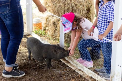 Hotel - Granja de Animales San Basilio de Palenque