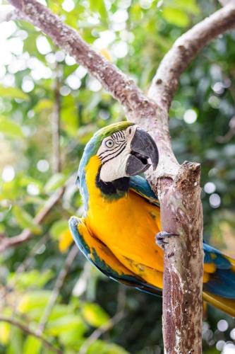 Hotel - Granja de Animales San Basilio de Palenque