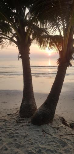 Mateoasis in Tapao Öböl