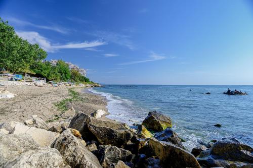 Royal Beach - image 8