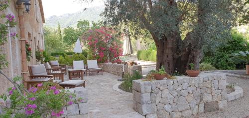 Agroturisme Finca Sa Maniga - image 10