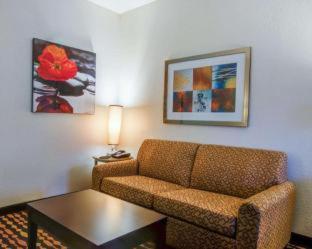 Comfort Suites Gwinnett Medical Center Area