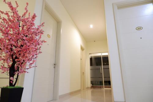 Hadi Park near Masjid Nasional Al Akbar Surabaya