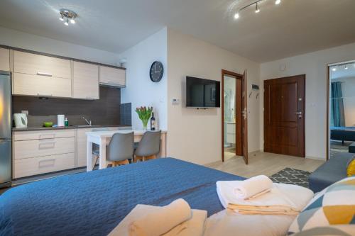 RentPlanet - Apartamenty Grabskiego, Szklarska Poręba (foto 8)